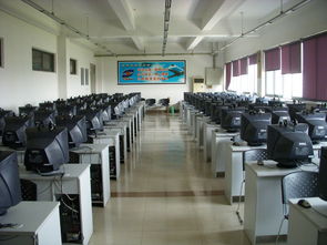 06級測控技術(shù)與儀器專業(yè)學雷鋒活動總結(jié)